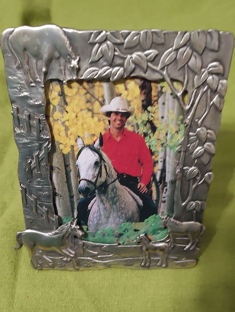 Pewter Horse-Themed Picture Frame